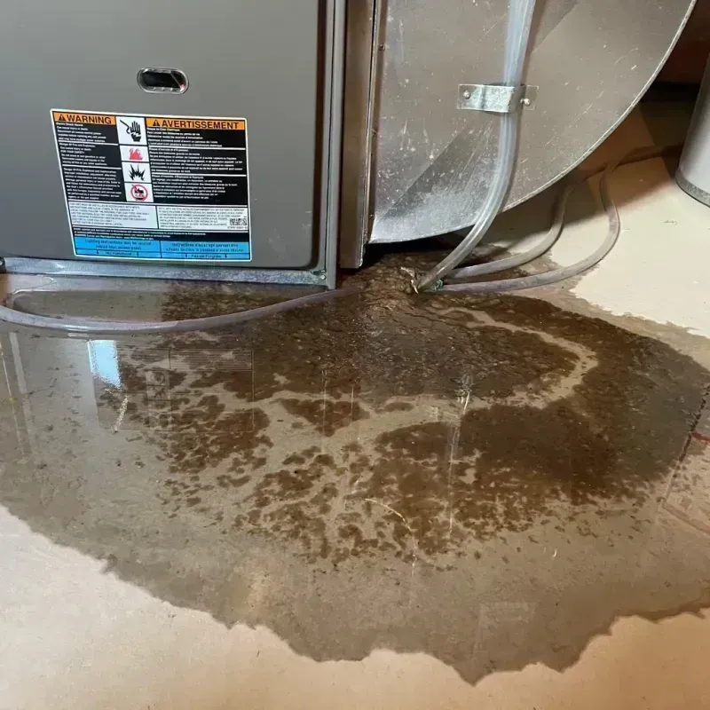 Appliance Leak Cleanup in Fenton, MO